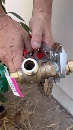 Thomas Young | go to the DR | Instagram