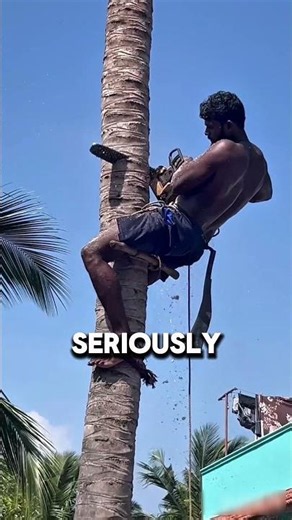 The best and safest way to cut down trees 😱