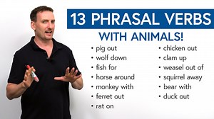 13 Phrasal Verbs with Animals: fish for, clam up, wolf down…