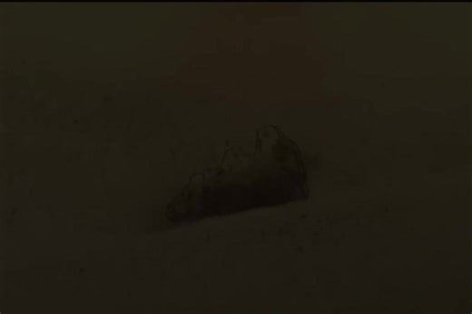 Воскрешение в Судный день.#сура #каран #ислам #ахиреть #намаз | islam