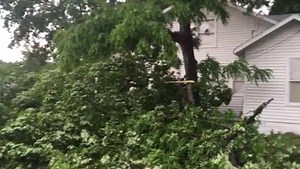 A tree and line fell causing a power outage and road closure due to a storm in Cape Girardeau on Friday afternoon>>>https://buff.ly/2GTueOQ | KFVS-TV