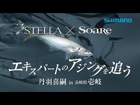 【シマノ】22ステラ✕ソアレ エキスパートのアジングを追う 丹羽喜嗣 in 長崎県壱岐