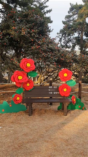 충남 서천 마량리동백나무숲 #무료주차 입장료천원 #서해#동백나무#동백꽃#사진명소