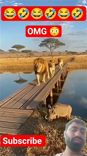 WARTHOG VS LION 🦁 FUNNY MOMENTS 😂 #funny #animals #shortsfeed #lion #wildlife #shorts #funniestvideo