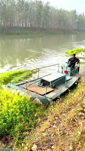 Effective Weed Removal Motor Boat on River #shorts