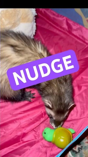 Micro‑Force Allocation