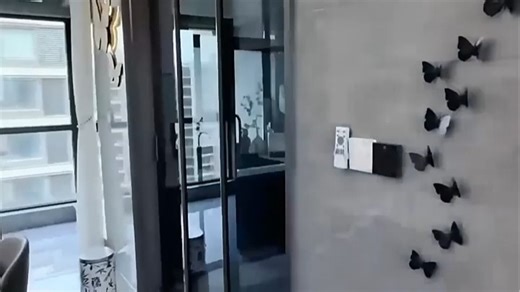 真实分享新手入手TCL电视的使用体验，画质清晰流畅，智能系统操作便捷，音效沉浸感强，轻松满足家庭观影需求。