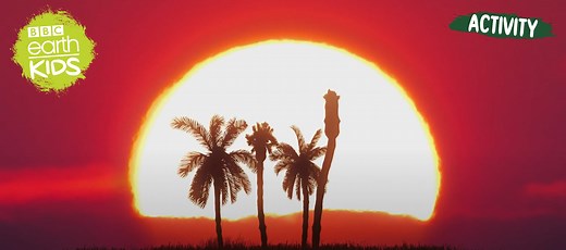 How do plants help you breathe? | BBC Earth