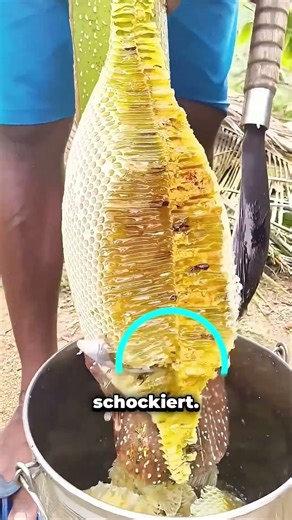 Don't buy fake honey