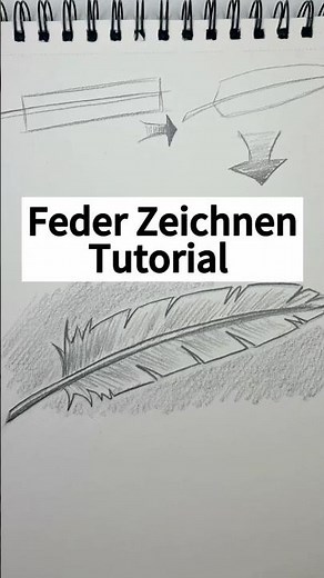 Feder zeichnen Tutorial - Einfache Schritt für Schritt Anleitung zum #zeichnen #zeichnenlernen