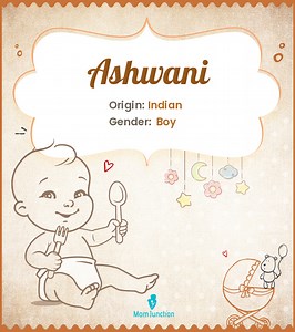 Ashwani Name Meaning, Origin, History, And Popularity