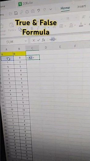 How to use True False formula in Excel | True False formula in excel sheet