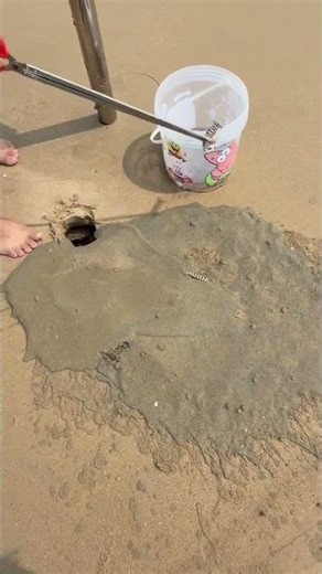 Wet sand can be easily smoothed and leveled on all surfaces, leaving a tight and neat finish #shorts