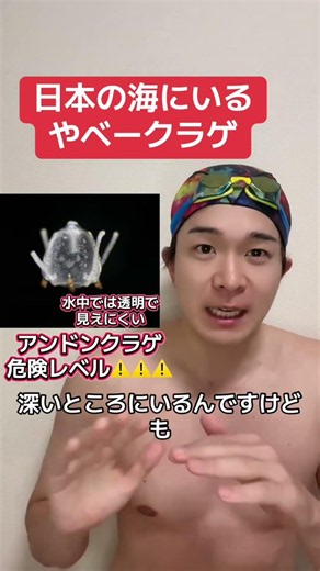 日本の海のやばいクラゲ #水泳 #水泳あるある