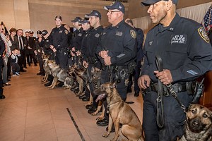 Peekskill K9 Graduates from MTA Explosive Detection Course