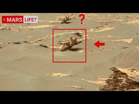 NASA's Perseverance Mars Rover Captured What's Outside of the crater! Curiosity' 4K Mars 2026 Latest
