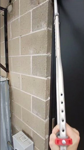 How to get rid of a wasp nest the right way and the wrong way
