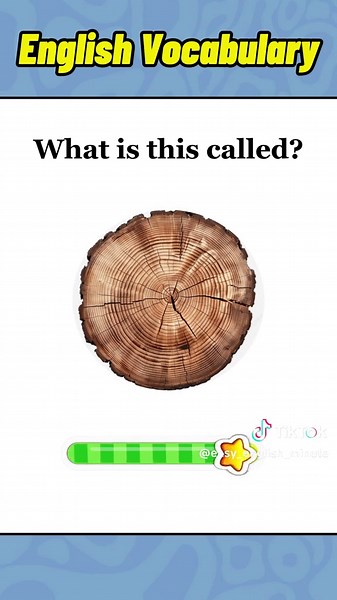 Part 51 | Dust Learn English Everyday, subscribe‼️ #LearnEnglish #EnglishVocabulary #Englishtok #EasyEnglish #EnglishLesson