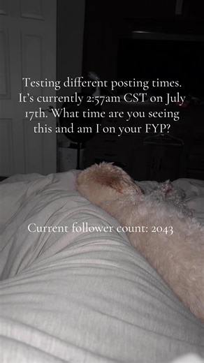 Understanding the TikTok Algorithm: What You Need to Know