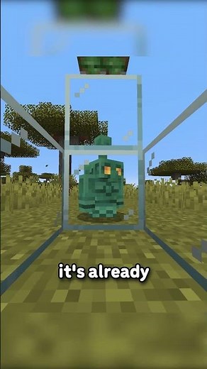 Copper Golems Should Oxidize BUT THEY DONT...