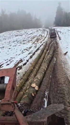 Timberjack 🌲 Holztransport aus dem Wald – Harte Arbeit im Einsatz #timberjack #forstwirtschaft #lkt