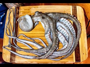 Catch and Cook OCTOPUS | BEST OCTOPUS DISH | Takoyaki!