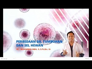 PERBEDAAN SEL TUMBUHAN DAN SEL HEWAN