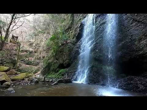 すずめの滝の音でリラックス時間
