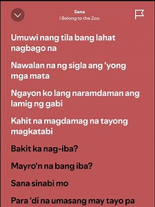 Sana - I Belong To The Zoo Full lyrics 🎶❤️‍🔥 | Sir M. TV VLOGF