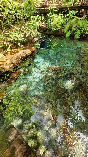 unknown depth this cave is more than 155 meters deep #superreels #viajanoreels #fblifestyle | Destinos Mato Grosso do Sul