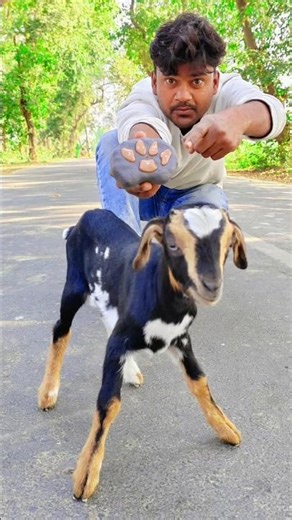 RC remote control desi Bakra 🐐unboxing 🤣#shorts