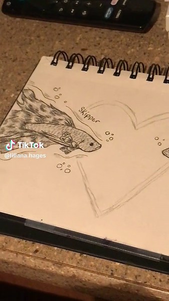 First time drawing beta fishes and they turned out so cute🥰 #drawing #fish #betafish #fyp #art