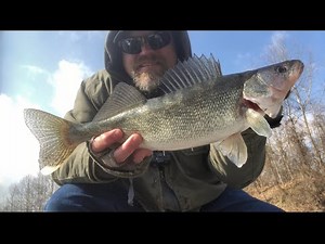 Catching walleye in February, Delaware river