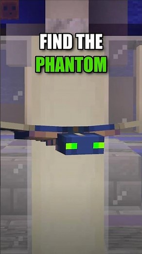 Find The PHANTOM in 5 Seconds! 🔍 | Minecraft