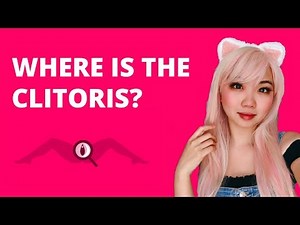 Where to find the clitoris and how it works