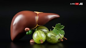 Amla Seeds: From Trash to Treasure? New Research Reveals Powerful Health Benefits & Antibiotic Resistance Solution!