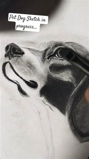 How to draw a Dog sketch portrait #animals #art #trending #shorts