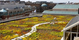 How To Make A Green Roof - Myrooff.com