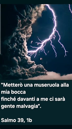 Video di leaversaversa (@ledellaversa) con Cycle Syncing Frequency - Still Haven