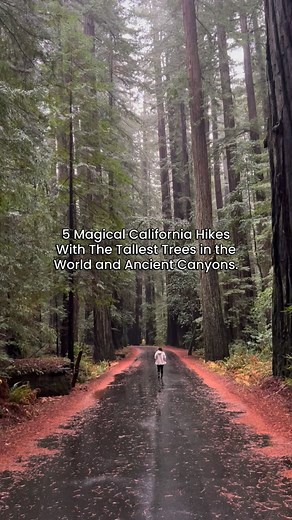 6.8K views · 14K reactions | California is overflowing with...