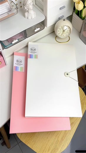 Long clear book organizer.. #clearbook #fileorganizer #documentsorganizer #schoolsupplies