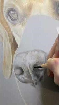 Realistic Dog Nose Drawing Tutorial Detailed Step by Step Guide