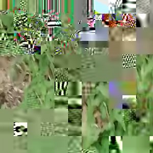 Snake hunting lizard | J chandola