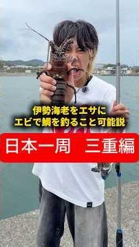 【日本一周 三重編】伊勢海老をエサにエビで鯛を釣ること可能説 #おーがすと #日本一周 #三重県