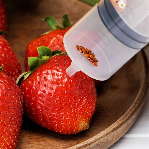 Clever planting hacks for vibrant gardens! | 5-Minute Crafts