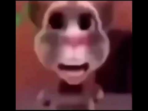 Boi what the hell boi