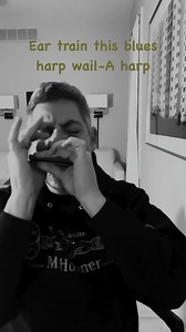 Https://www.harmonica123.com | Ronnie Shellist