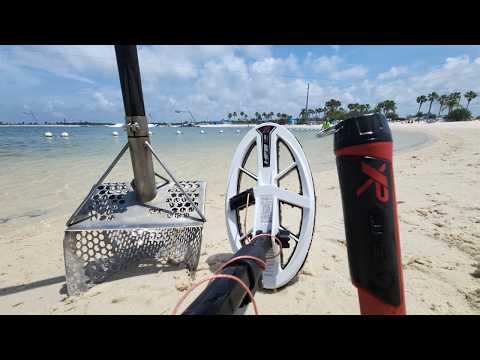 Metal Detector VS Swimming Hole