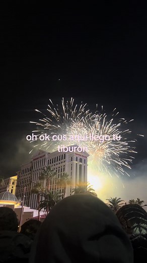 Llego tu Tiburón: La Canción Completa