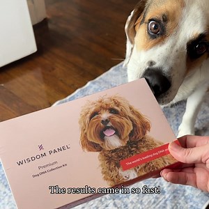 Pets are full of surprises. Stay a step ahead with breed, health, relative, and behavior insights so you can tailor care. | Wisdom Panel